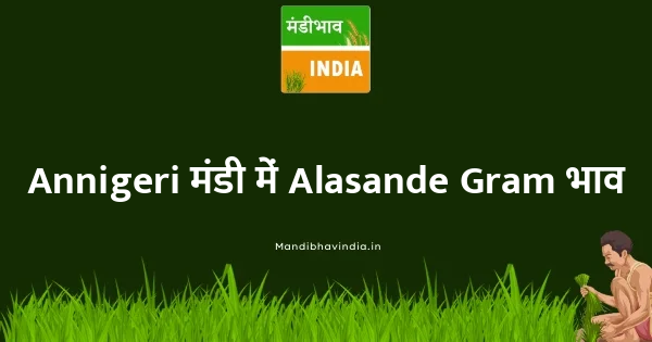 Alasande Gram भाव